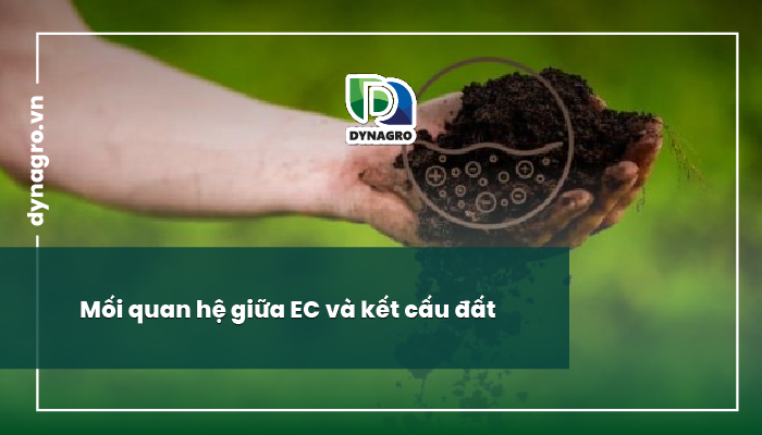 Độ dẫn điện của đất