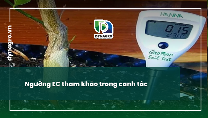 Độ dẫn điện của đất