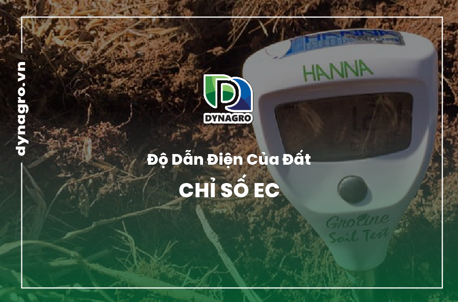 Độ dẫn điện của đất