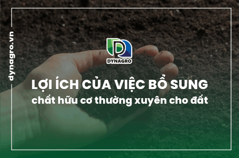loi-ich-cua-viec-bo-sung-chat-huu-co-thuong-xuyen-cho-dat