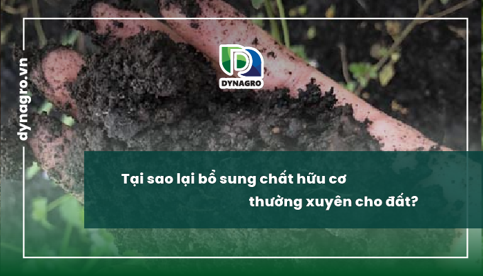Tại sao lại bổ sung chất hữu cơ thường xuyên cho đất?