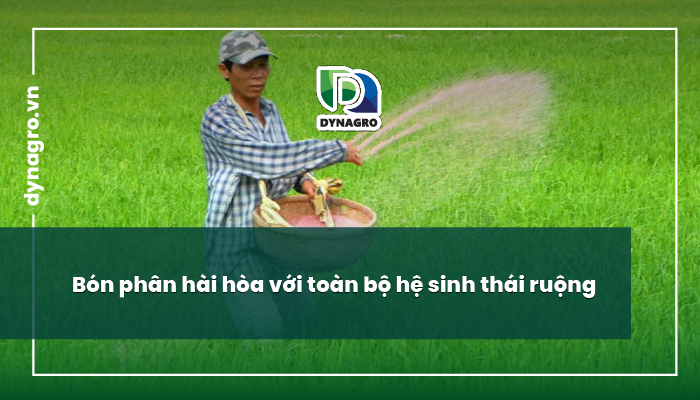 bón phân