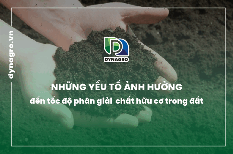 yeu-to-anh-huong-den-toc-do-phan-giai-chat-huu-co