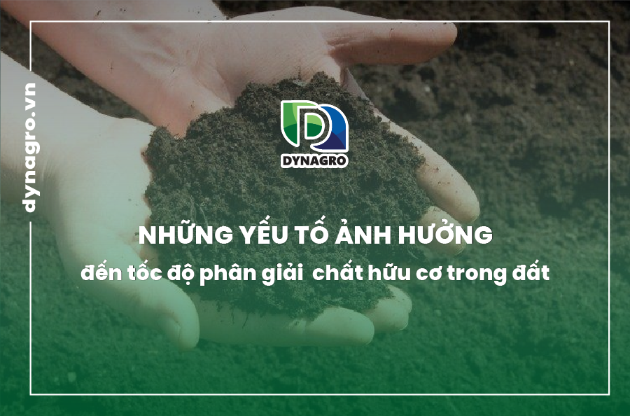 yeu-to-anh-huong-den-toc-do-phan-giai-chat-huu-co
