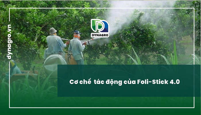 co-che-folistick-phan-bon-la