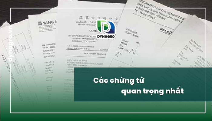 cac-chung-tu-ho-so-va-quy-trinh-nhap-khau-phan-bon-tai-viet-nam