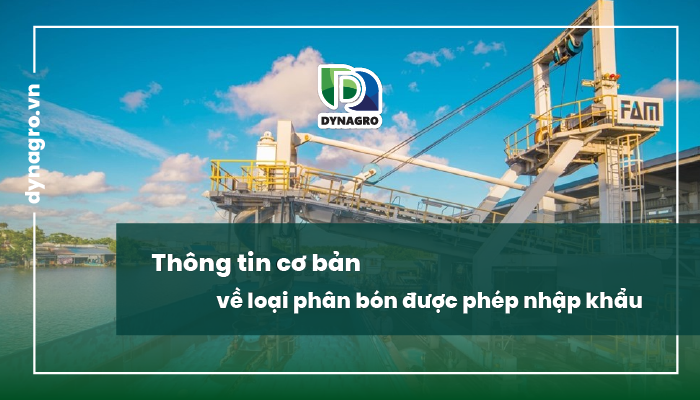 thong-tion-co-ban-ho-so-va-quy-trinh-nhap-khau-phan-bon-tai-viet-nam