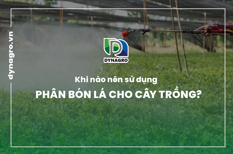 Phân bón lá