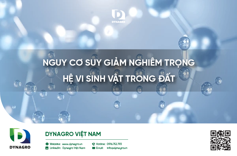 chelate-giai-phap-hoan-hao-cho-cay-trong-thieu-hut-vi-luong