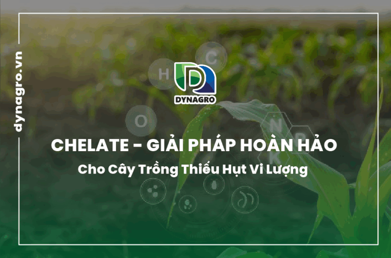 chelate-giai-phap-hoan-hao-cho-cay-trong-thieu-hut-vi-luong
