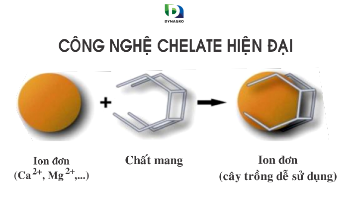 chelate-giai-phap-hoan-hao-cho-cay-trong-thieu-hut-vi-luong-chelate