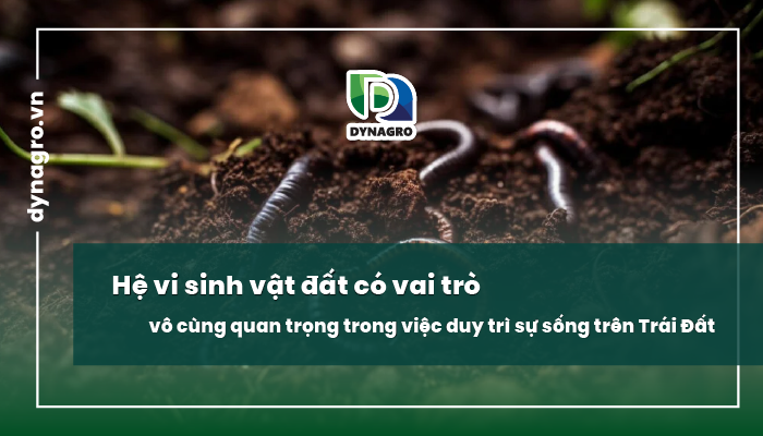 he-sinh-vat-nguy-co-suy-giam-nghiem-trong-he-vi-sinh-vat-trong-dat