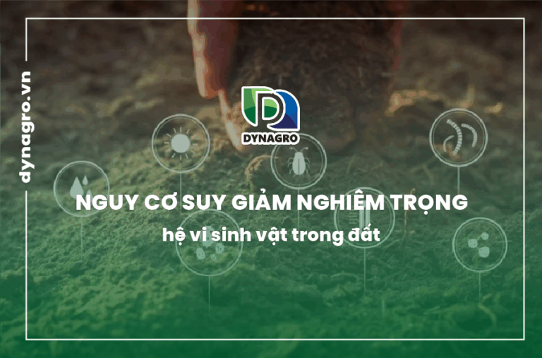 nguy-co-suy-giam-nghiem-trong-he-vi-sinh-vat-trong-dat