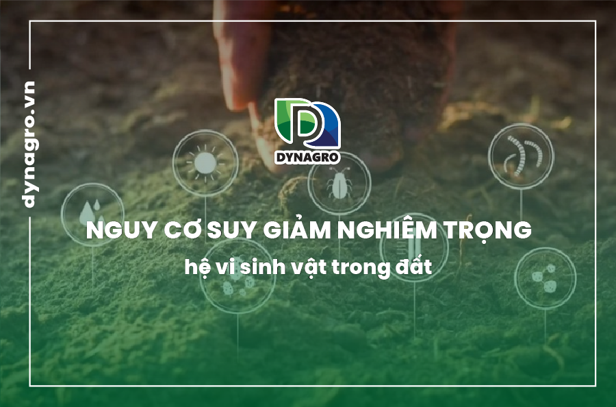 nguy-co-suy-giam-nghiem-trong-he-vi-sinh-vat-trong-dat