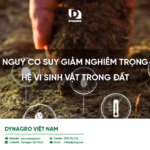 Hệ vi sinh vật đất là một cộng đồng đa dạng các sinh vật siêu nhỏ như vi khuẩn, nấm, xạ khuẩn, tảo và nguyên sinh động vật, sống trong đất.