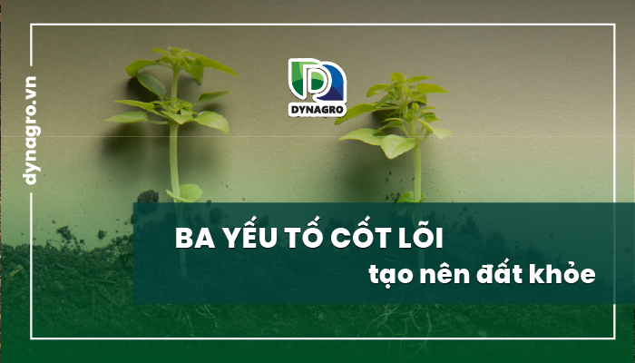 3-yeu-to-cot-loi-3-yeu-to-cot-loi-quyet-dinh-suc-khoe-cua-dat
