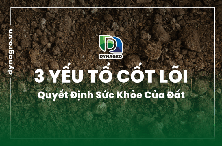 3-yeu-to-cot-loi-quyet-dinh-suc-khoe-cua-dat