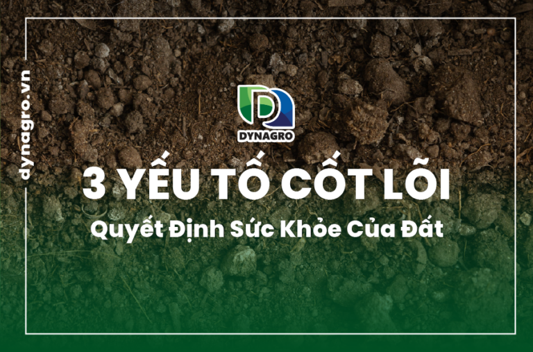 sức khỏe của đất
