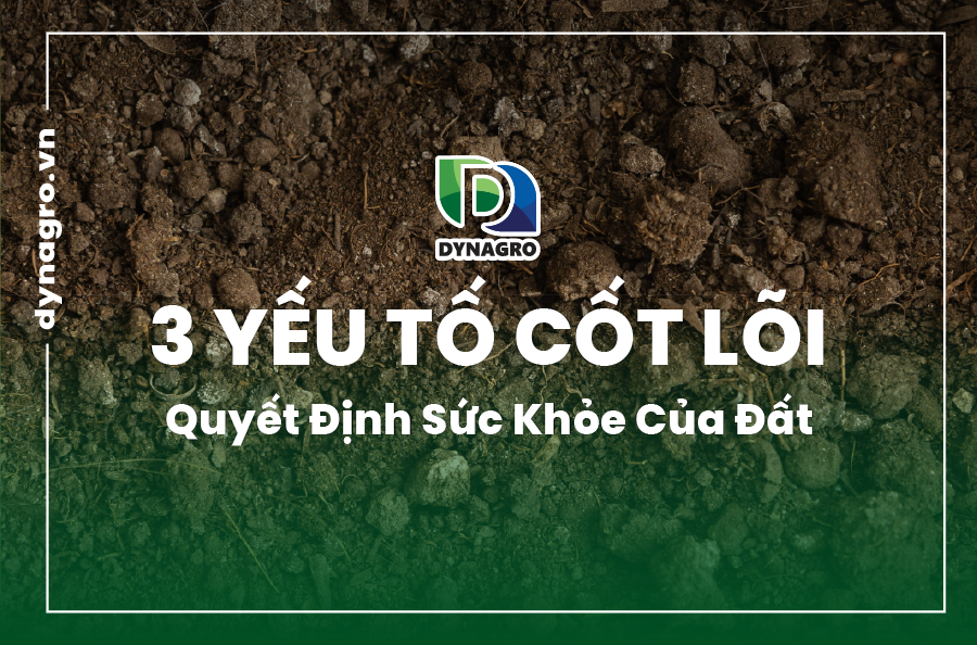 sức khỏe của đất