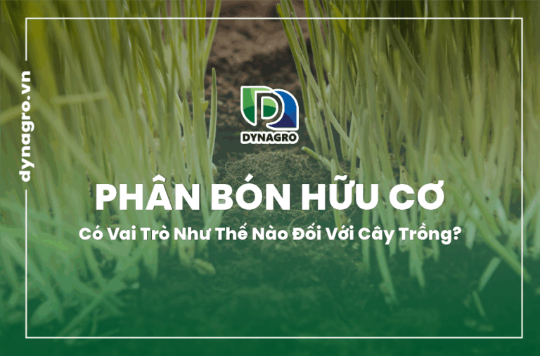 phan-bon-huu-co-co-vai-tro-nhu-the-nao-doi-voi-cay-trong