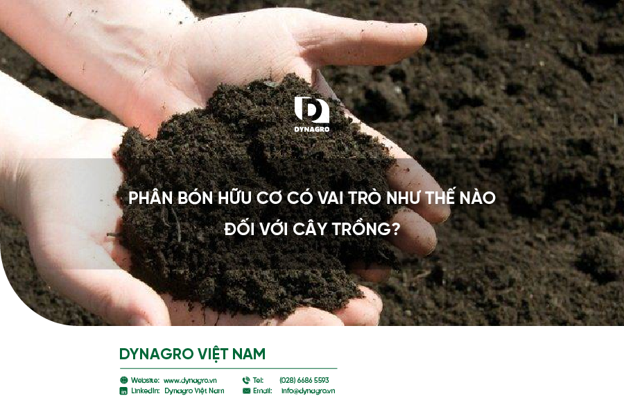 phan-bon-huu-co-co-vai-tro-nhu-the-nao-doi-voi-cay-trong