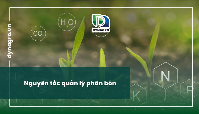 quản lý phân bón