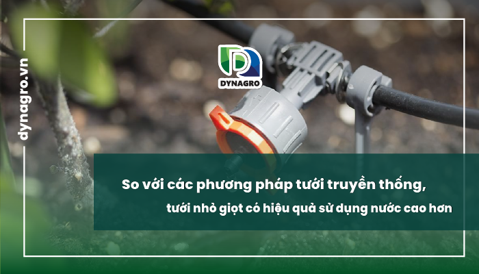So với các phương pháp tưới truyền thống, tưới nhỏ giọt có hiệu quả sử dụng nước cao hơn