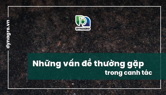van-de-thuong-gap-trong-canh-tac-3-yeu-to-cot-loi-quyet-dinh-suc-khoe-cua-dat