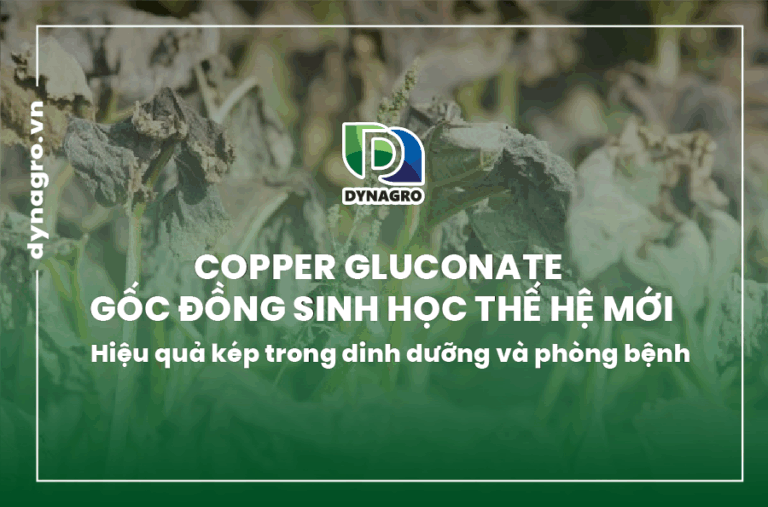 copper-gluconate-goc-dong-sinh-hoc-the-he-moi-hieu-qua-kep-trong-dinh-duong-va-phong-benh