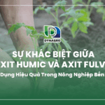 su-khac-biet-giua-axit-humic-va-axit-fulvic-ung-dung-hieu-qua-trong-nong-nghiep-ben-vung