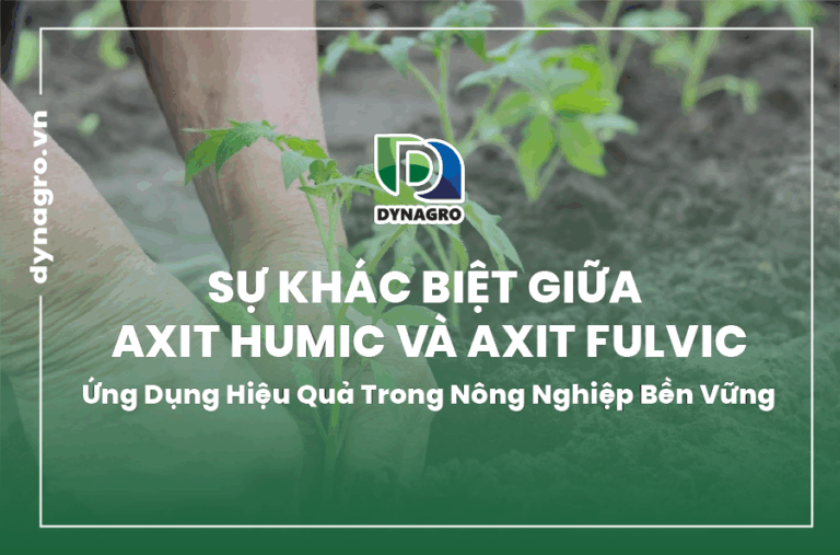 su-khac-biet-giua-axit-humic-va-axit-fulvic-ung-dung-hieu-qua-trong-nong-nghiep-ben-vung
