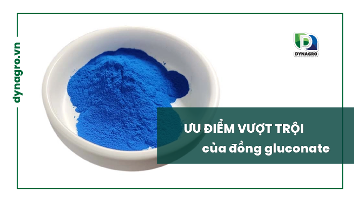 Ưu điểm vượt trội của đồng gluconate