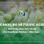 canxi-bo-va-fulvic-acid-giai-phap-sinh-hoc-toi-uu-cho-giai-doan-ra-hoa-dau-qua