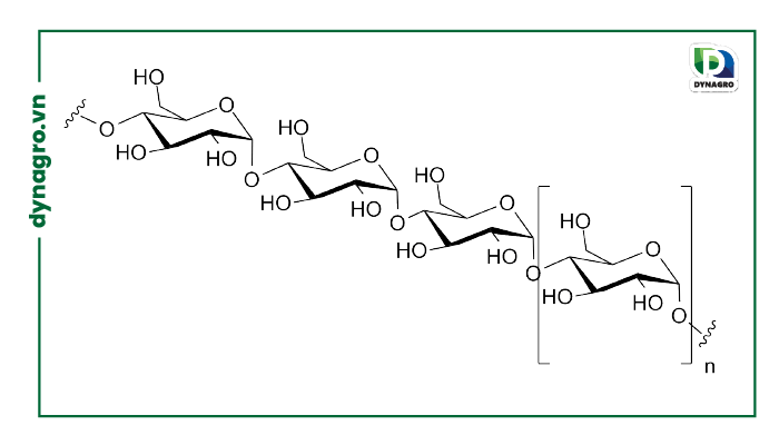 Polysaccharides là gì?