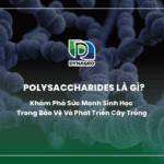polysaccharides-la-gi-kham-pha-suc-manh-sinh-hoc-trong-bao-ve-va-phat-trien-cay-trong