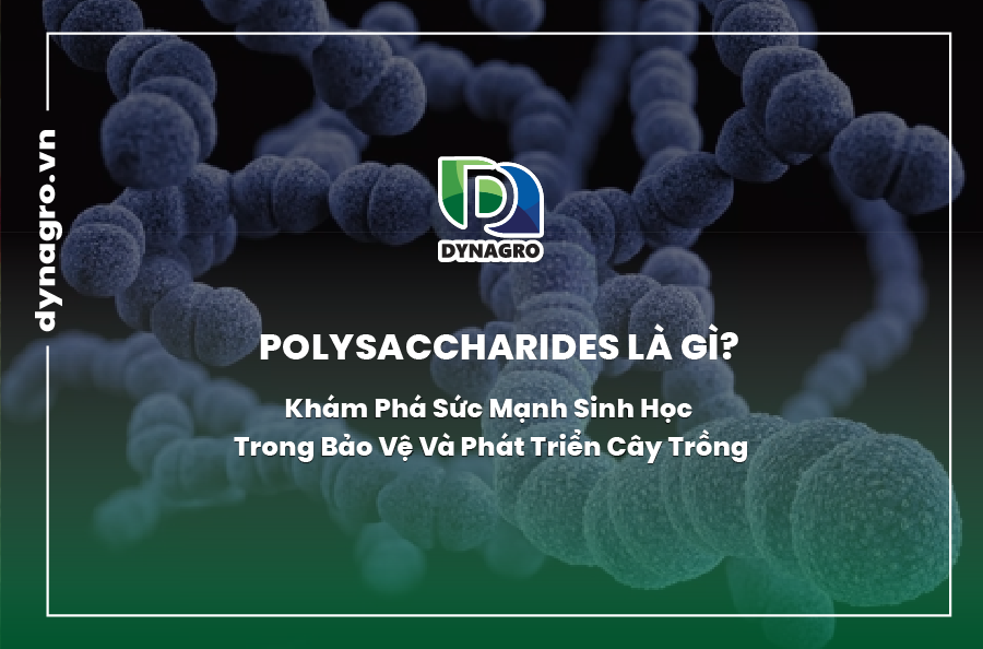 polysaccharides-la-gi-kham-pha-suc-manh-sinh-hoc-trong-bao-ve-va-phat-trien-cay-trong